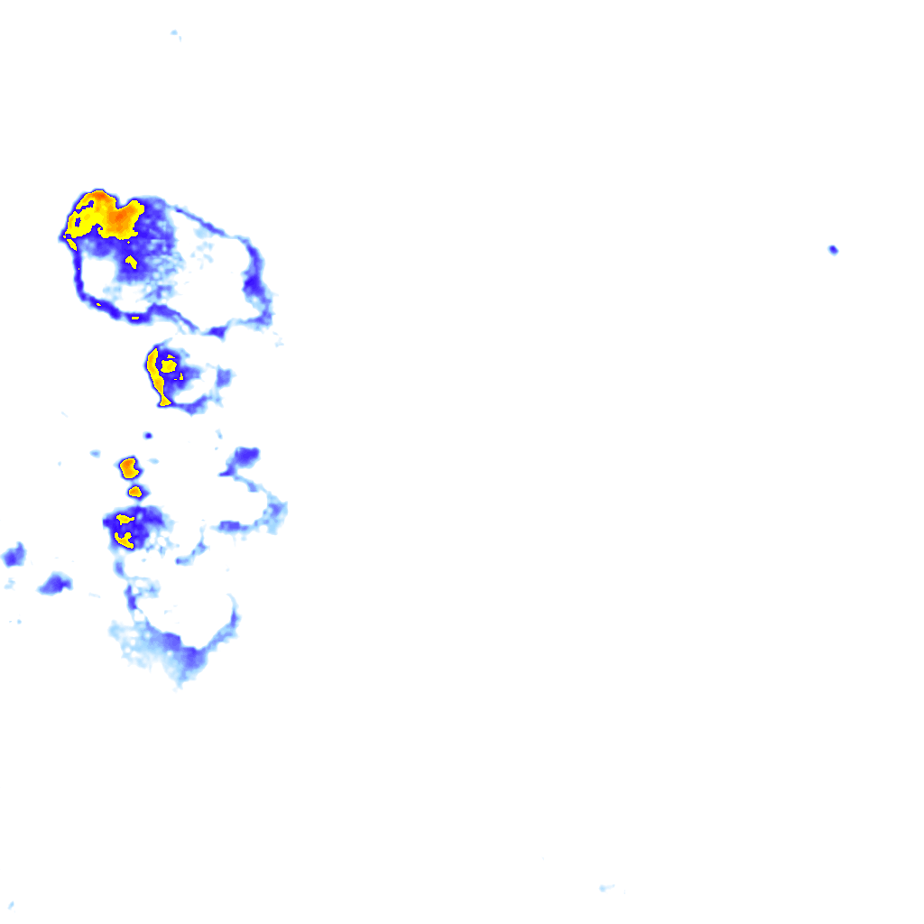 rainLayer