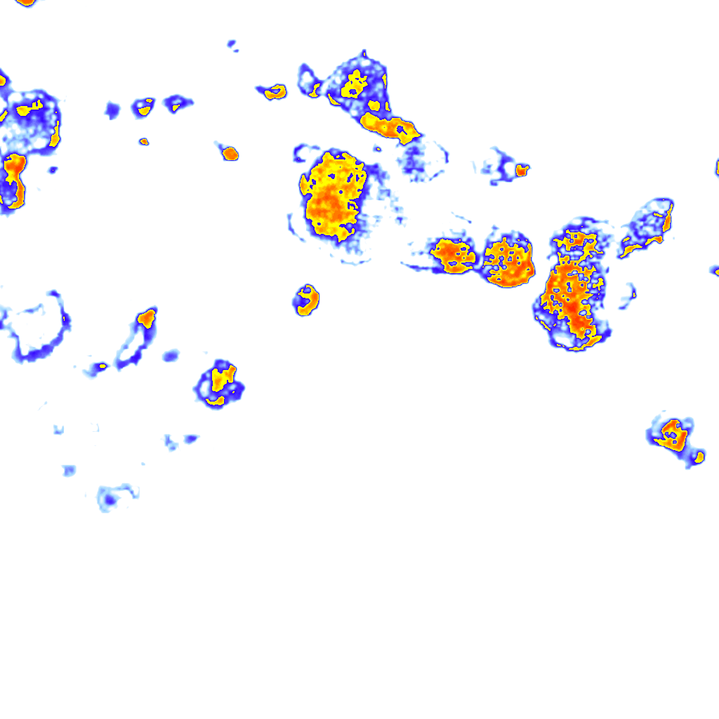 Image Layer