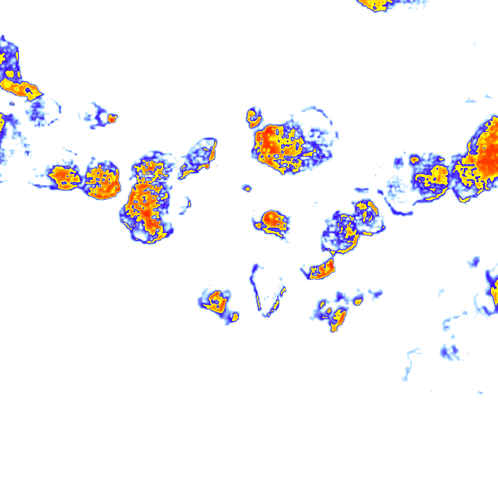 rainLayer