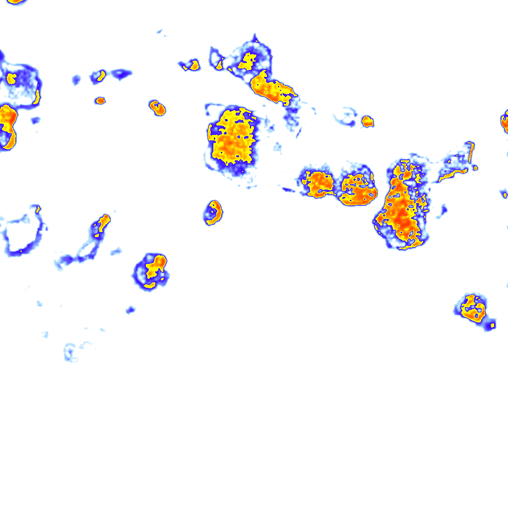 Image Layer