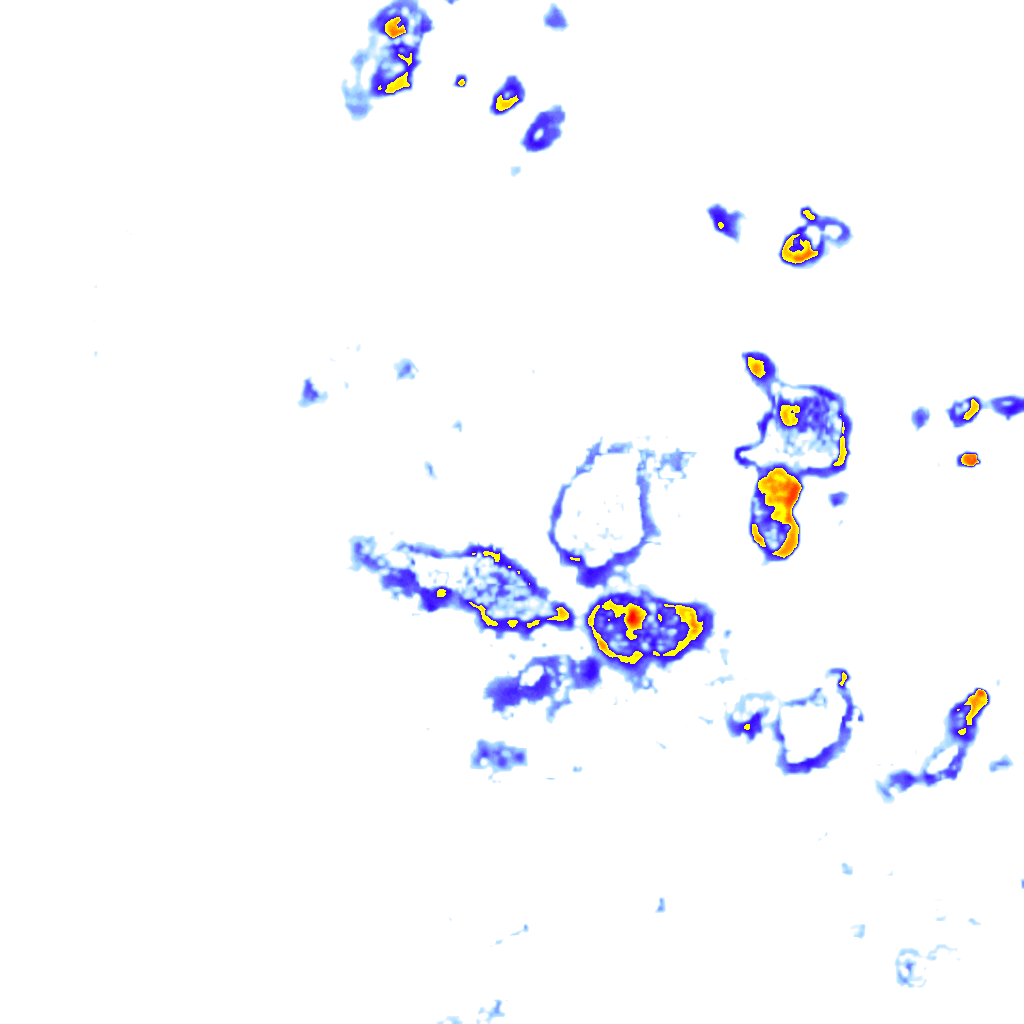 Image Layer