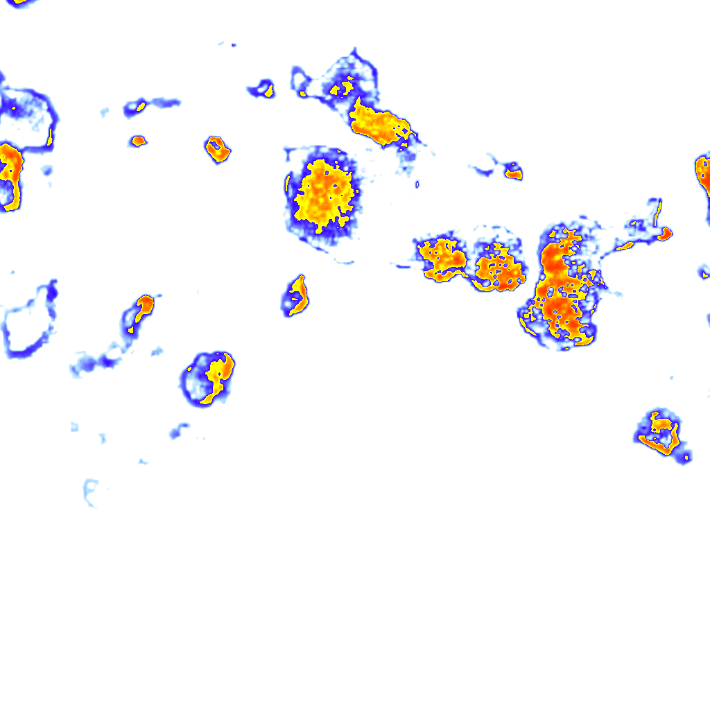 Image Layer