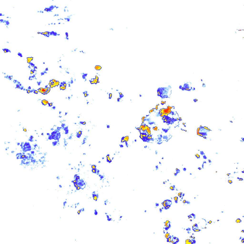 rainLayer