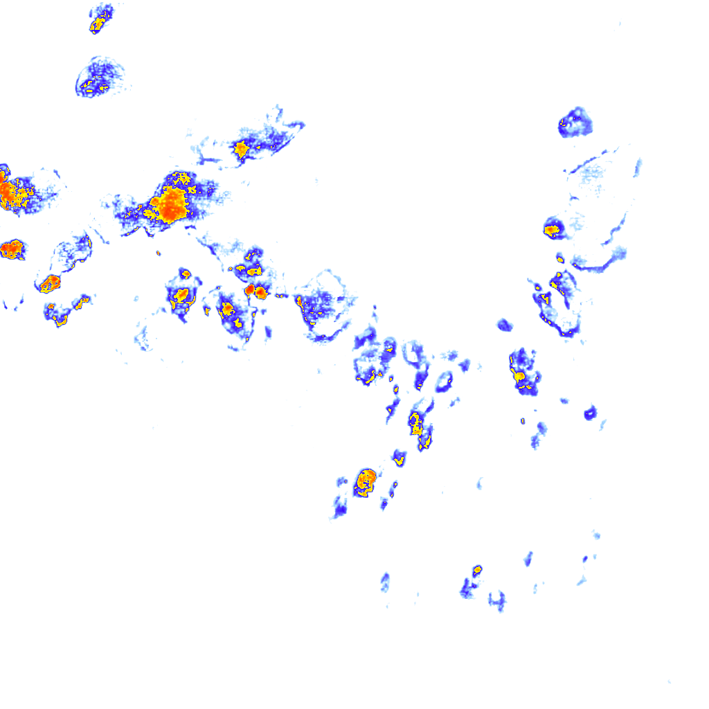 rainLayer