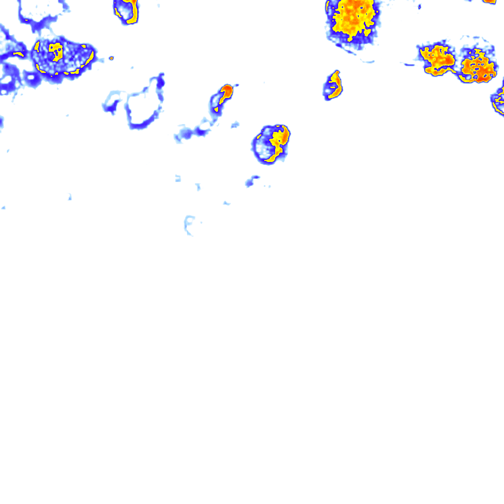 rainLayer