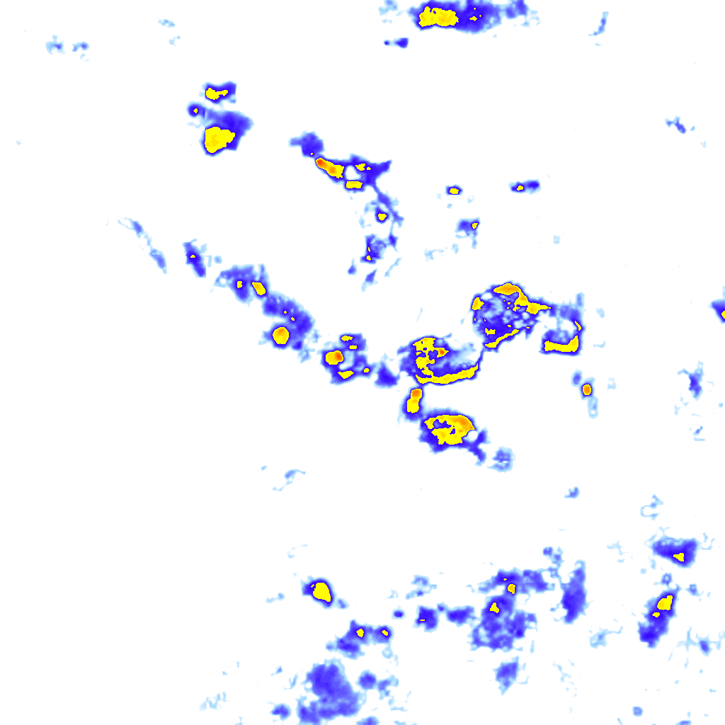 rainLayer