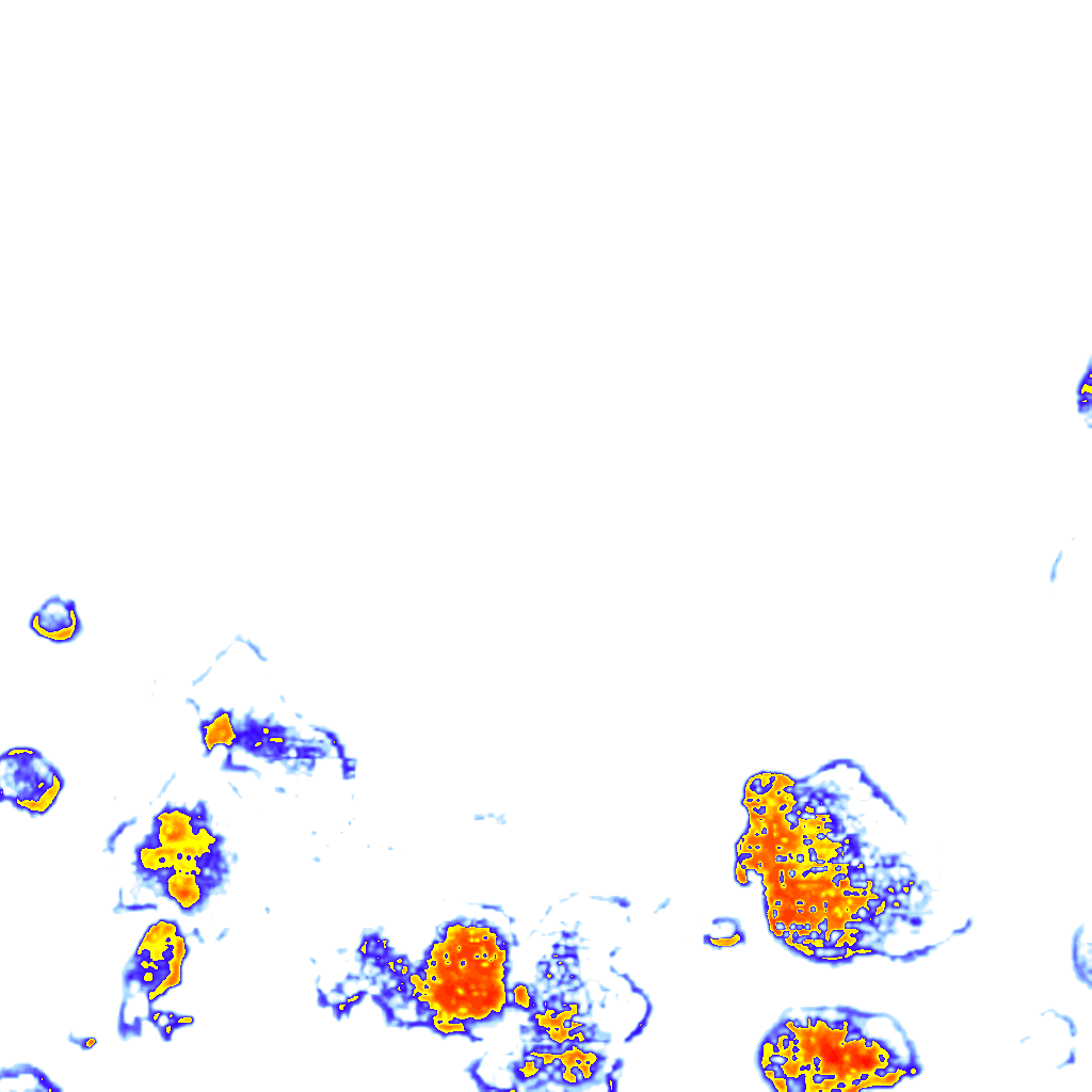 Image Layer