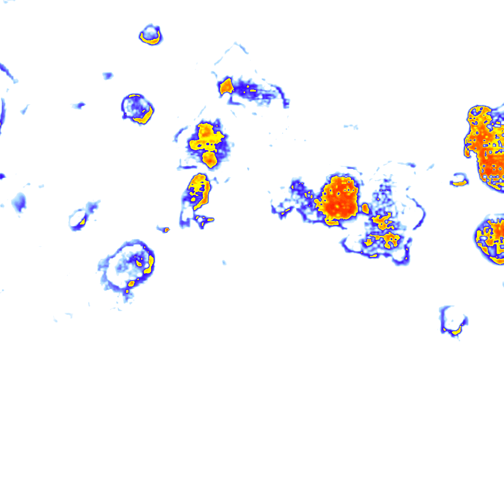 rainLayer