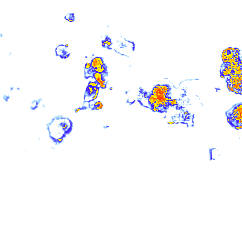rainLayer