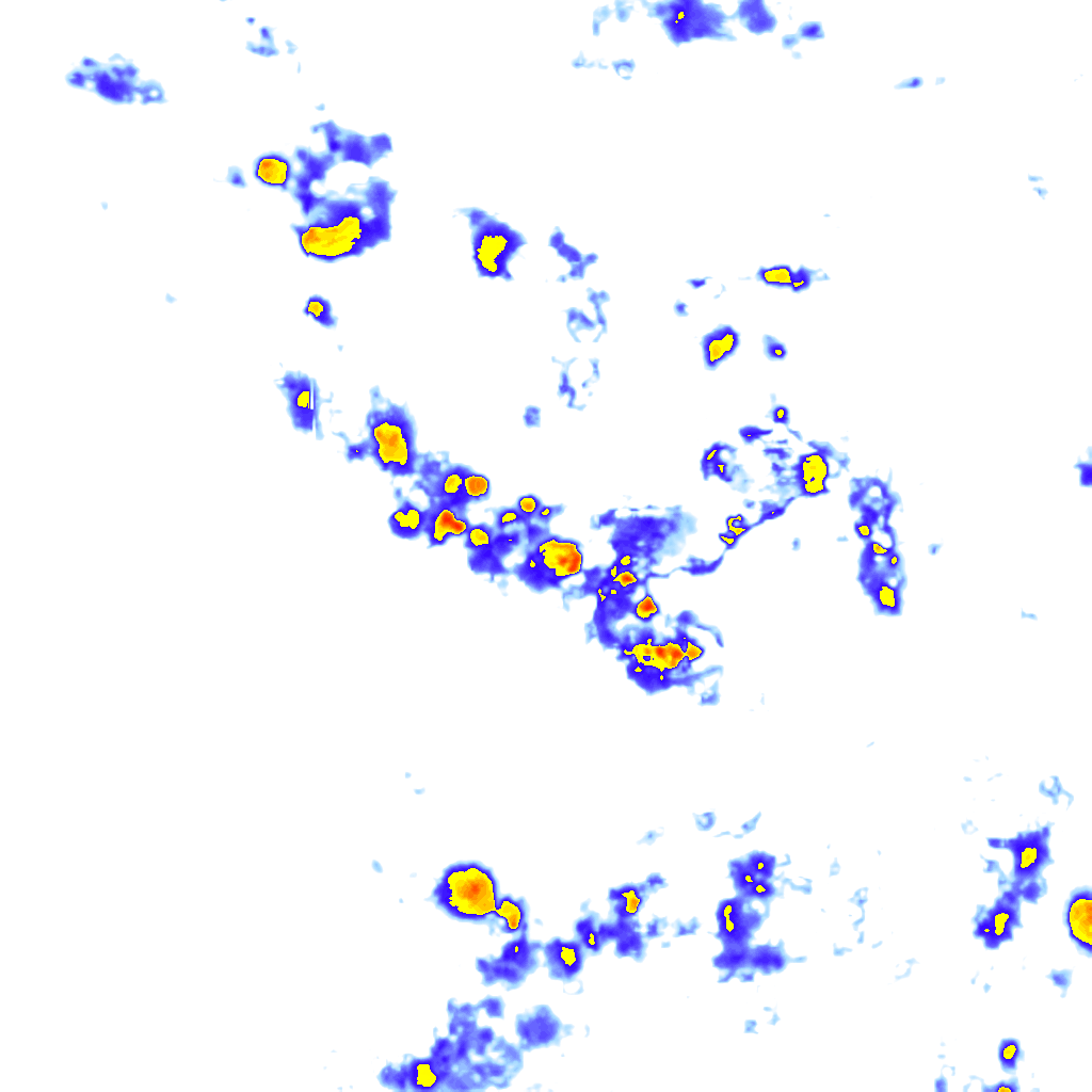 Image Layer