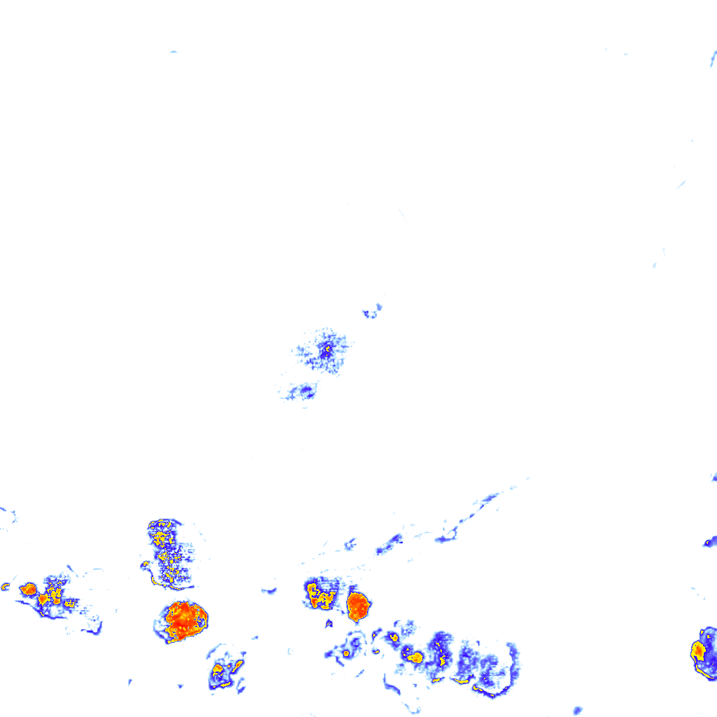 rainLayer
