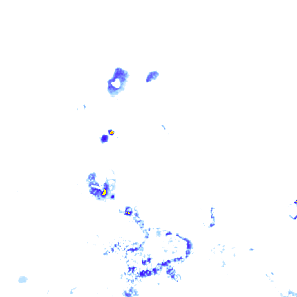 rainLayer
