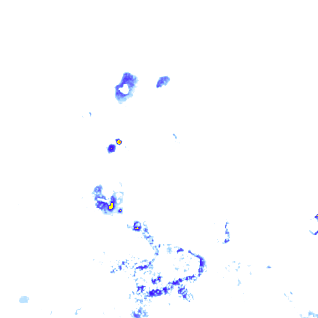 rainLayer