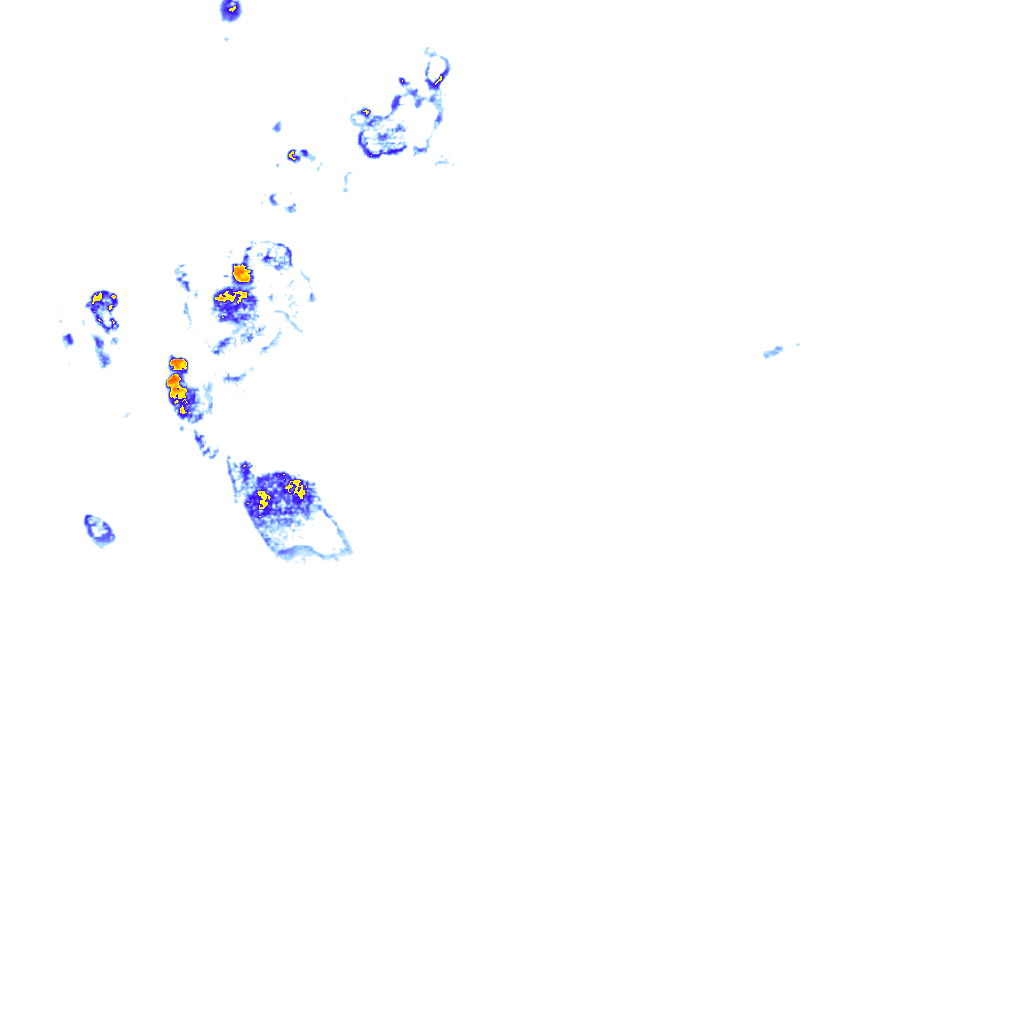 rainLayer