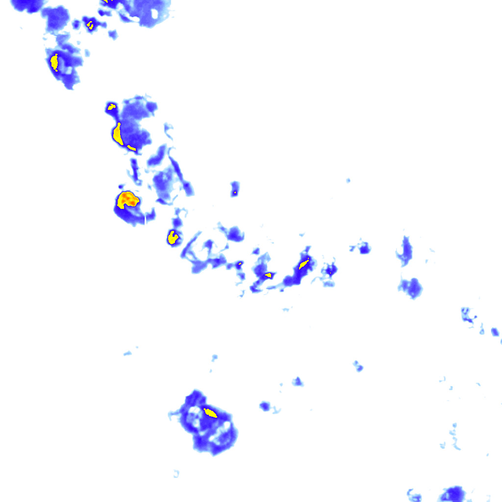 rainLayer