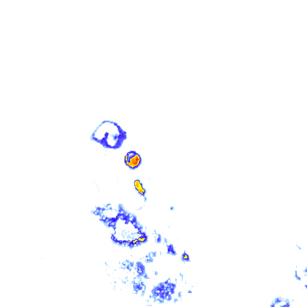 rainLayer