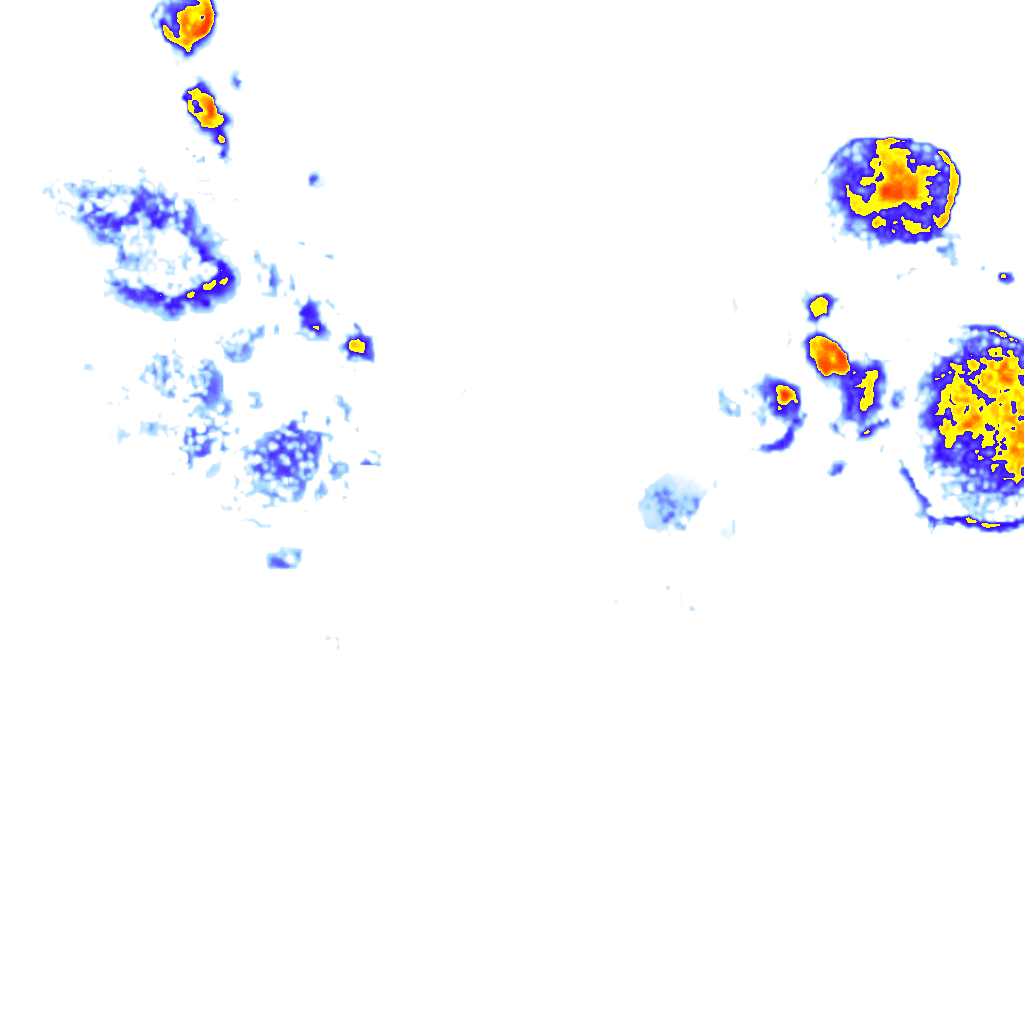 Image Layer