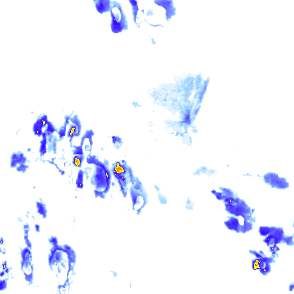 rainLayer