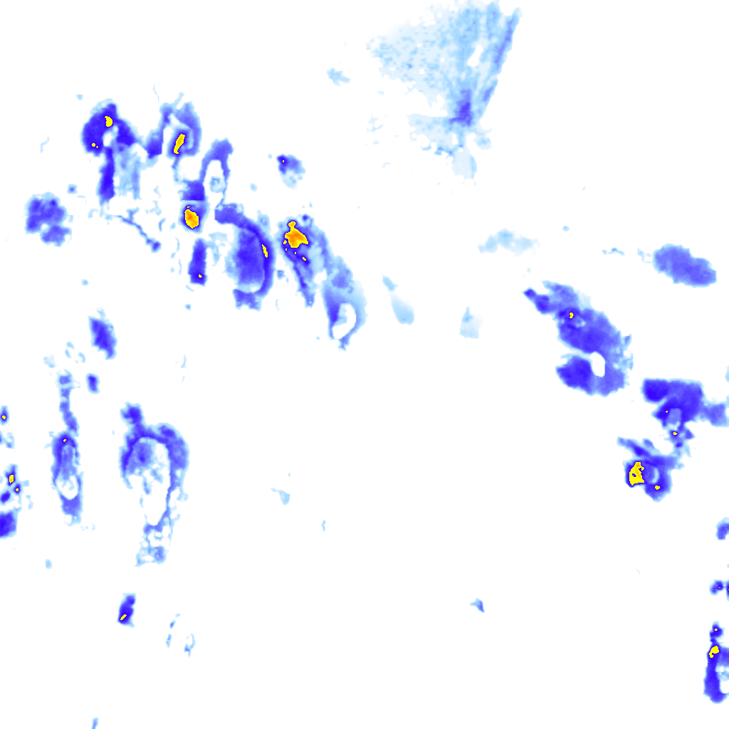 Image Layer