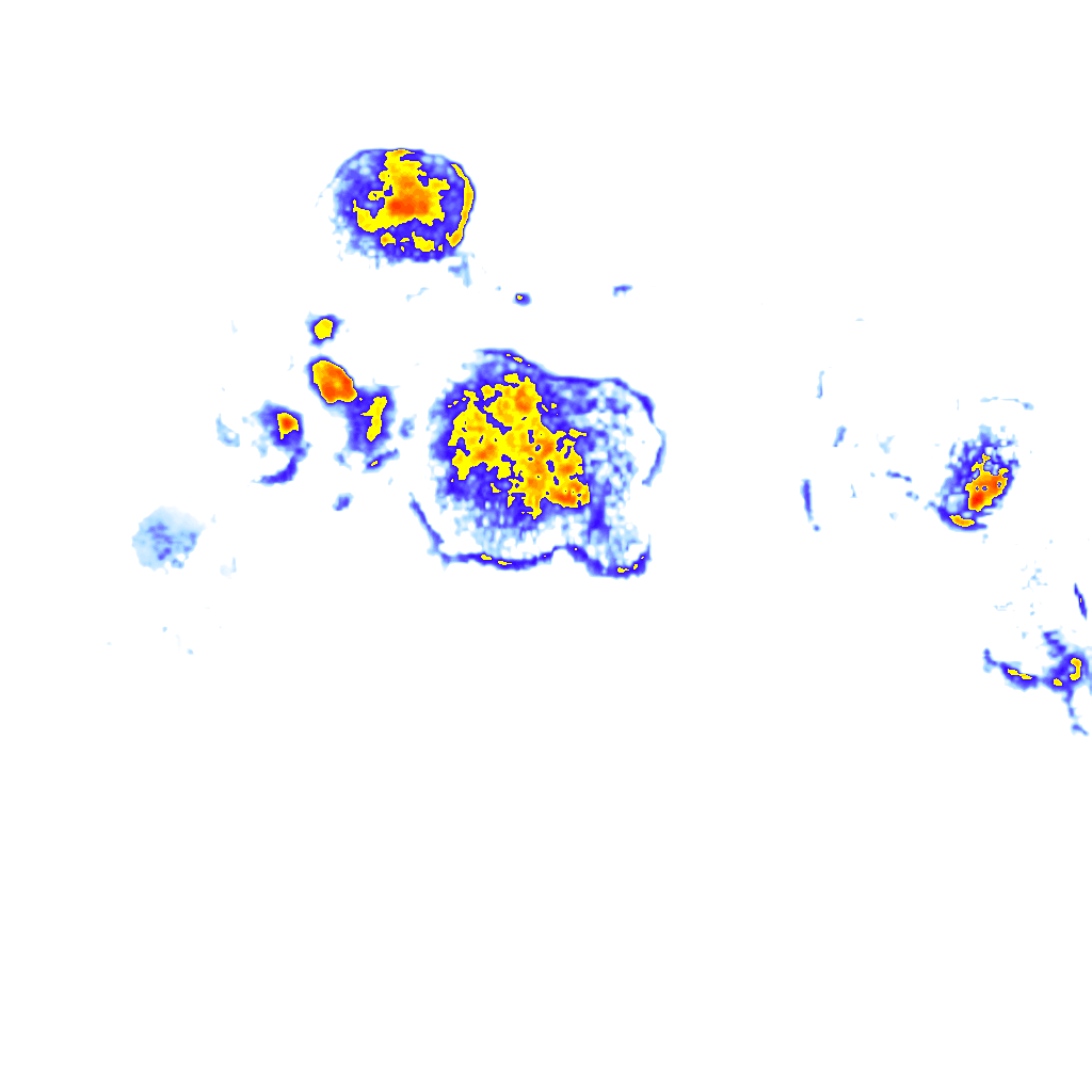 rainLayer