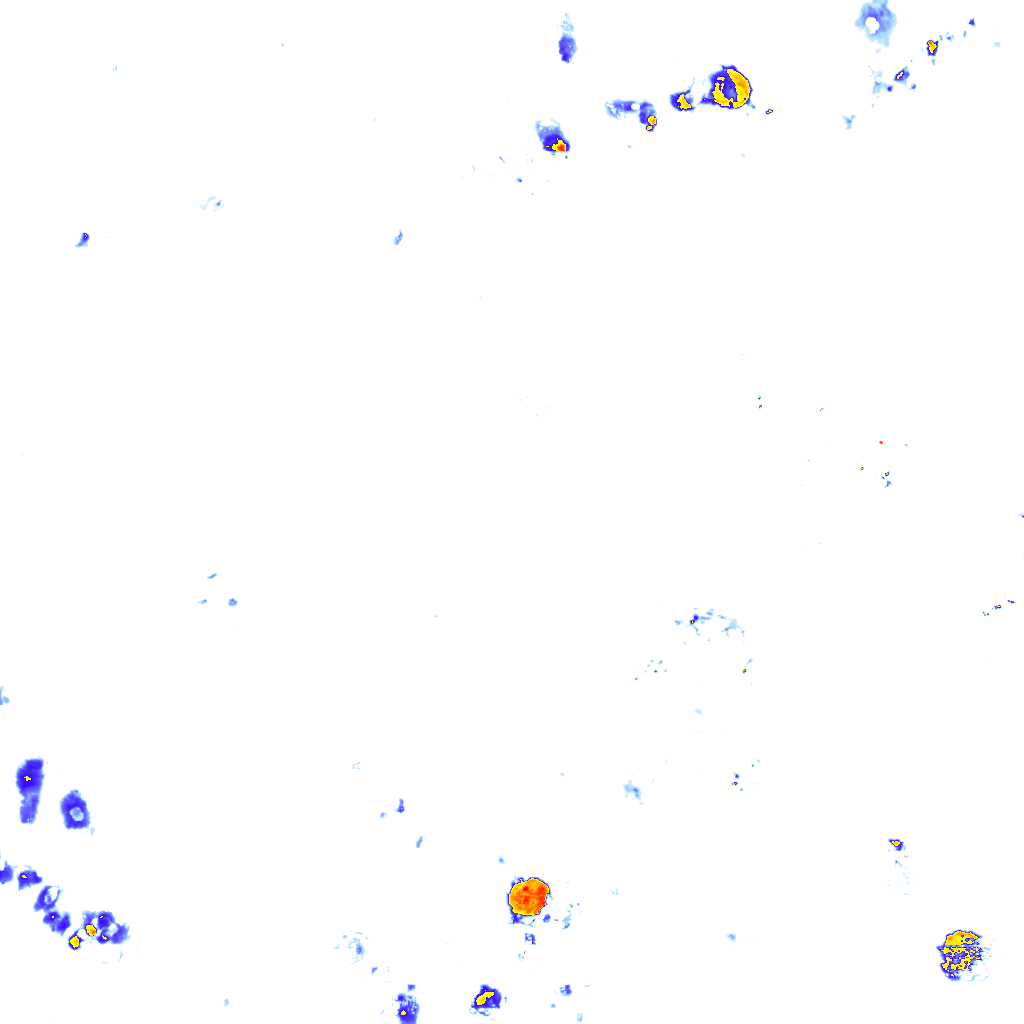 rainLayer