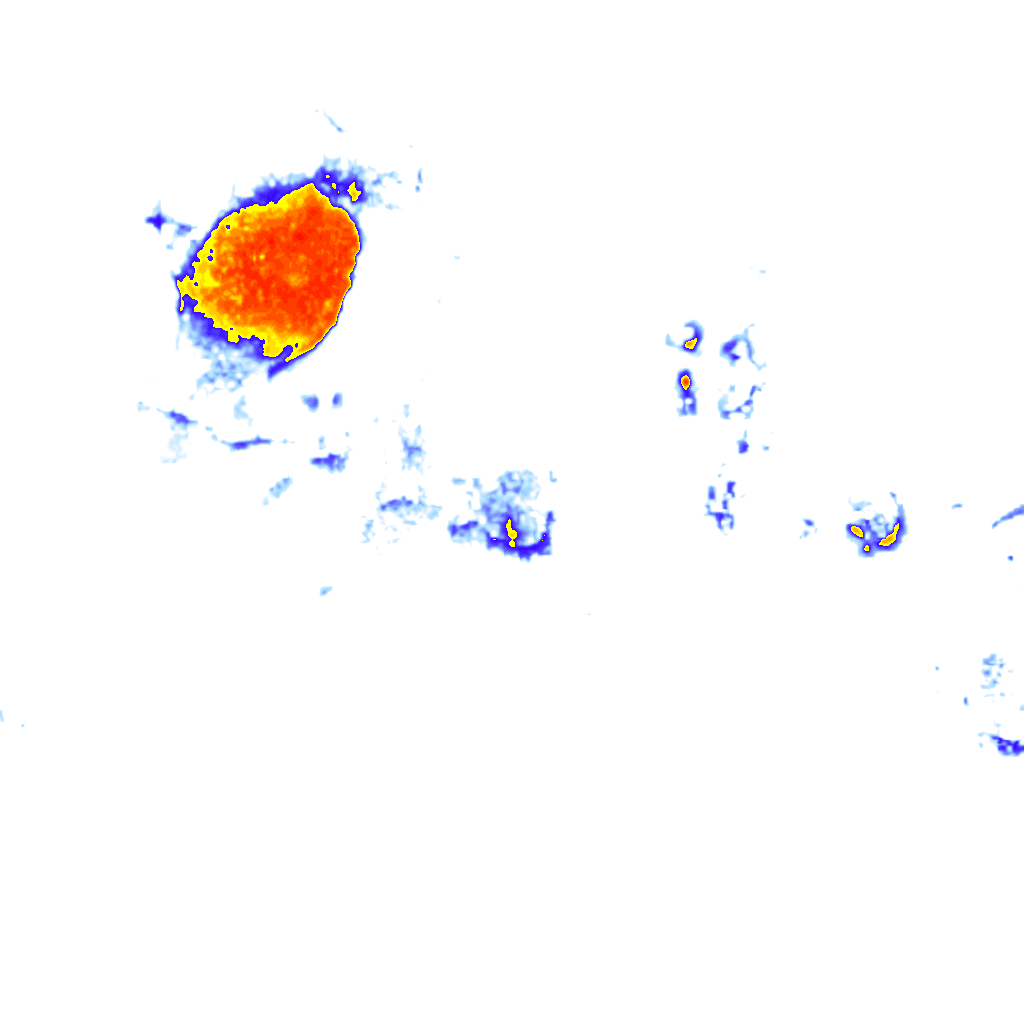 rainLayer
