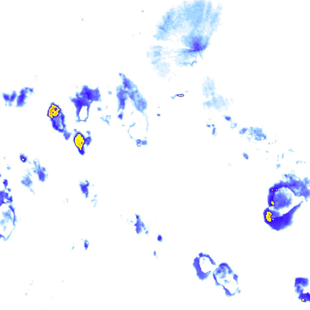rainLayer