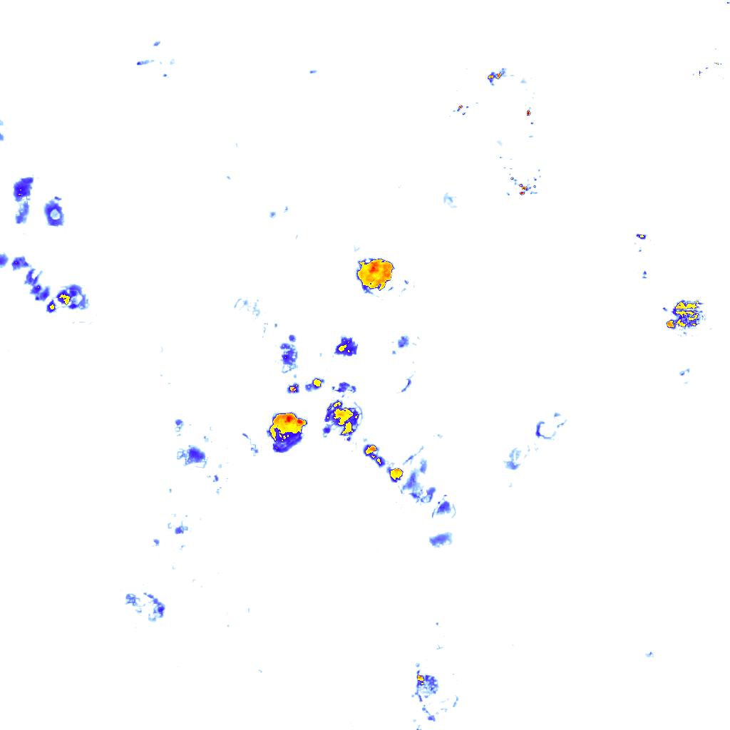 rainLayer