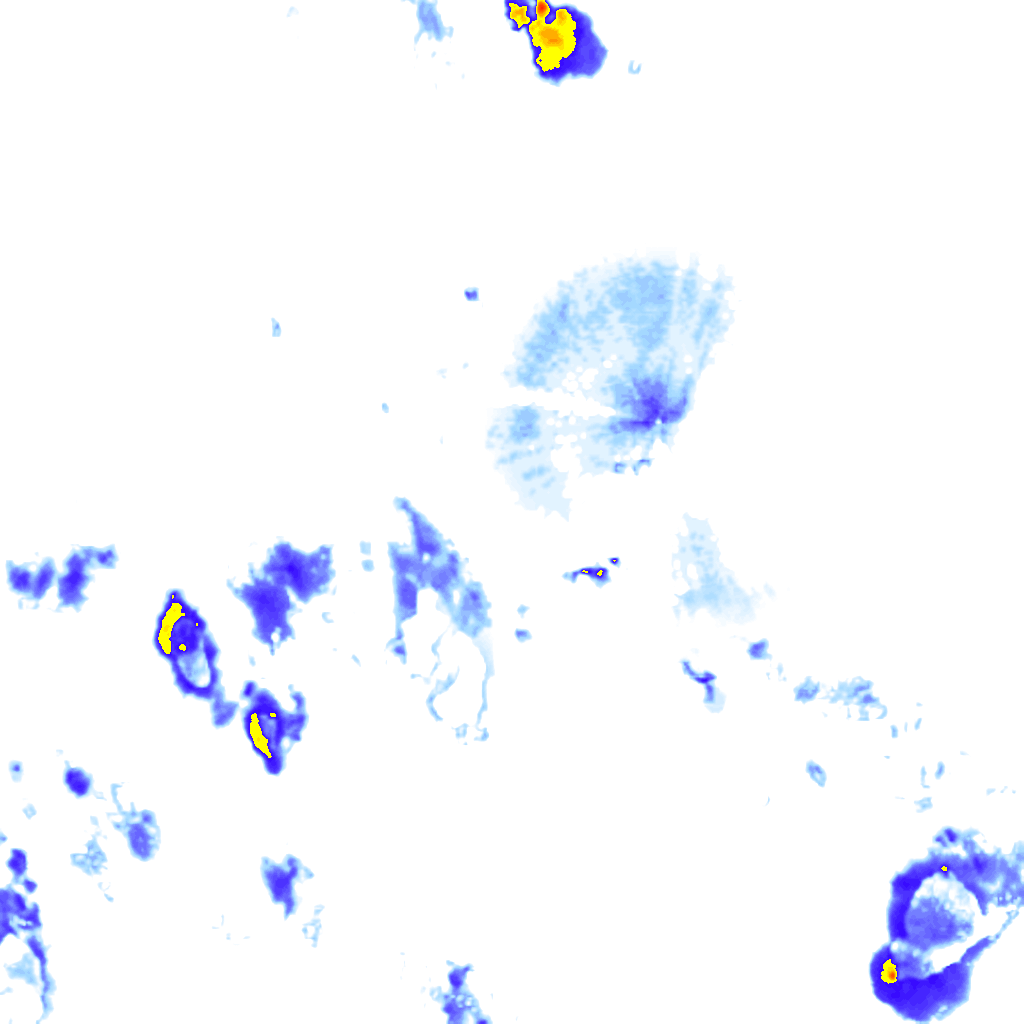 rainLayer