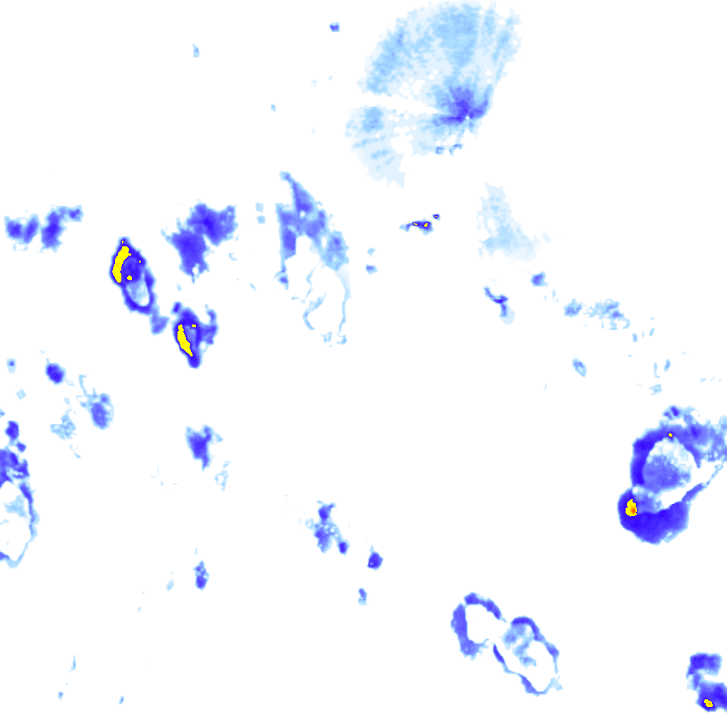 Image Layer