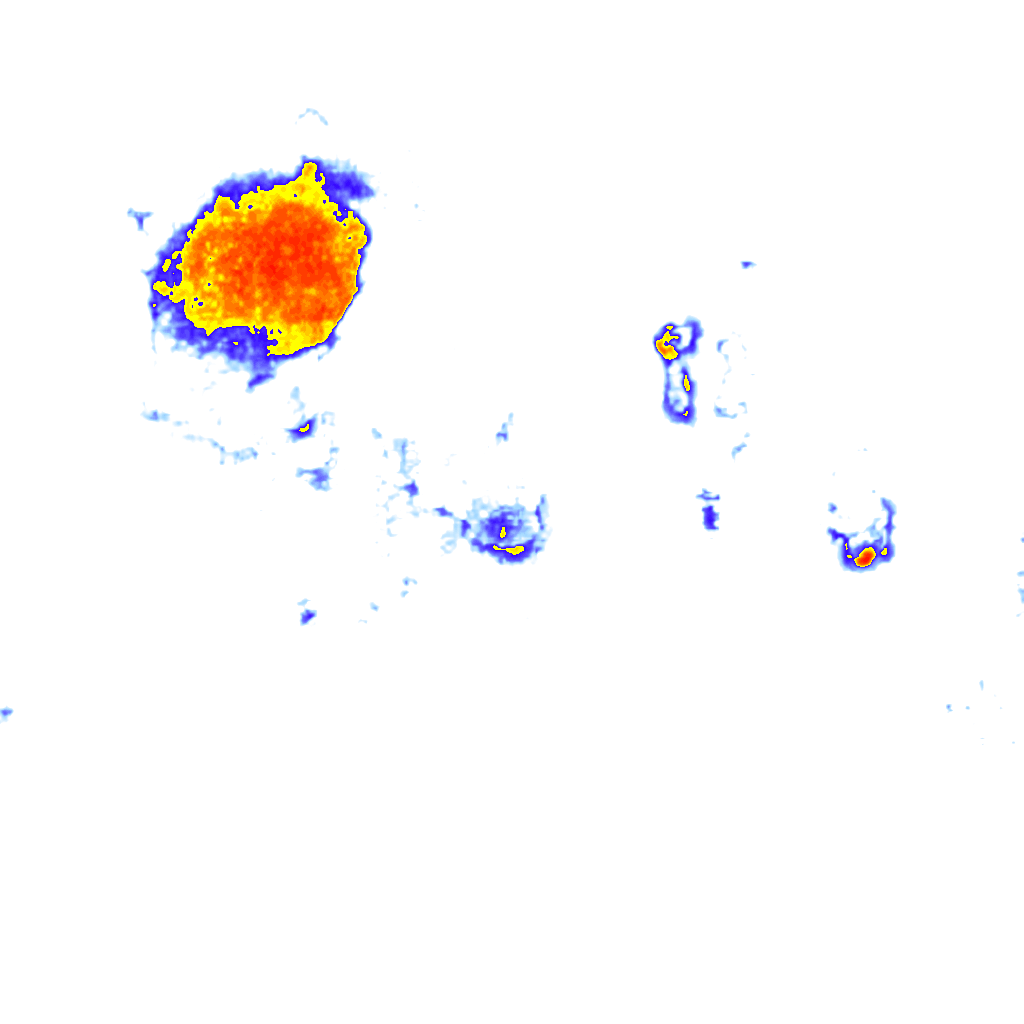 Image Layer