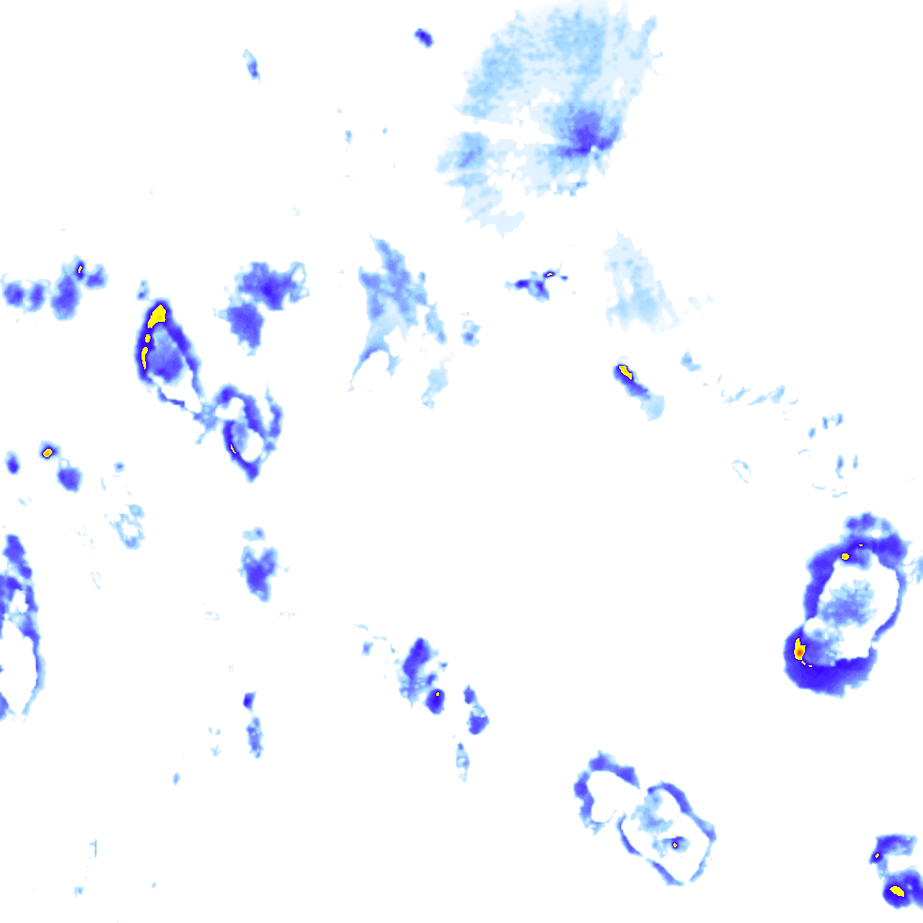 Image Layer