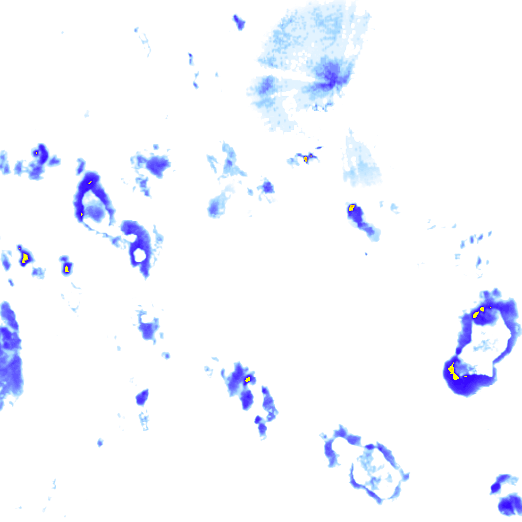 Image Layer
