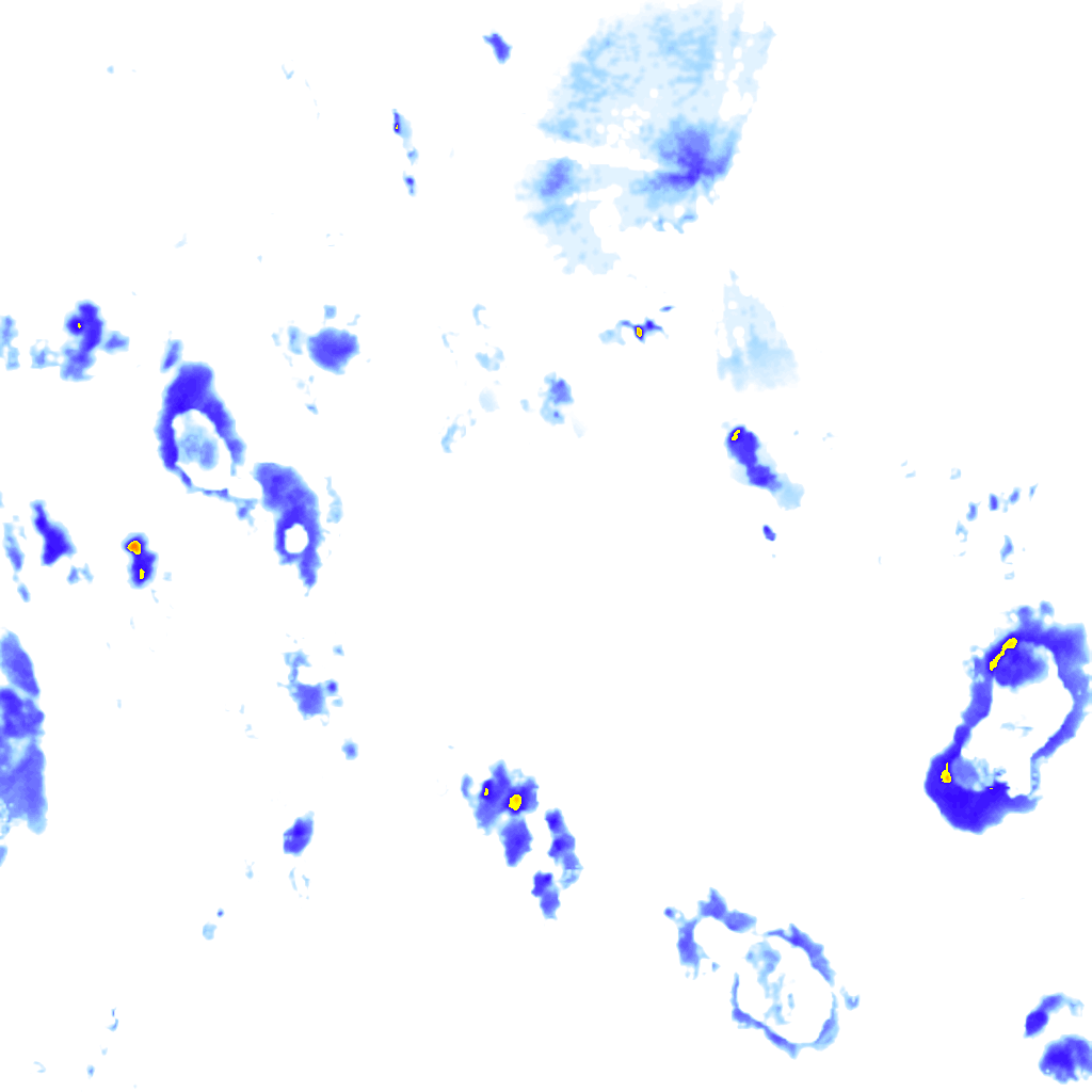 Image Layer