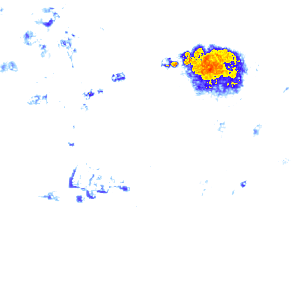 Image Layer