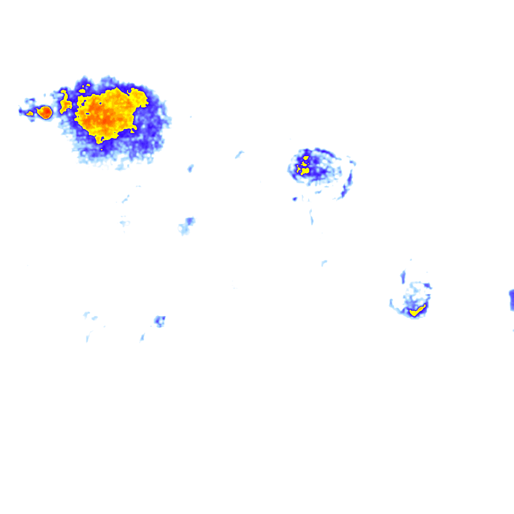 Image Layer
