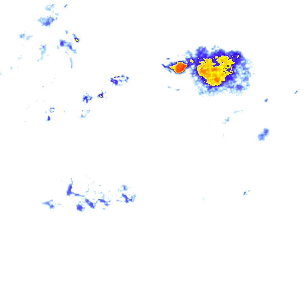 Image Layer