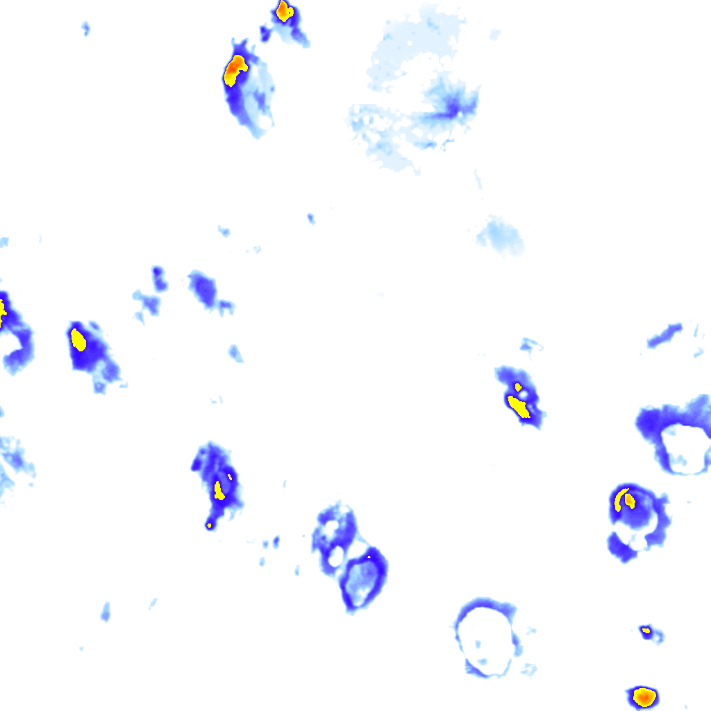 Image Layer