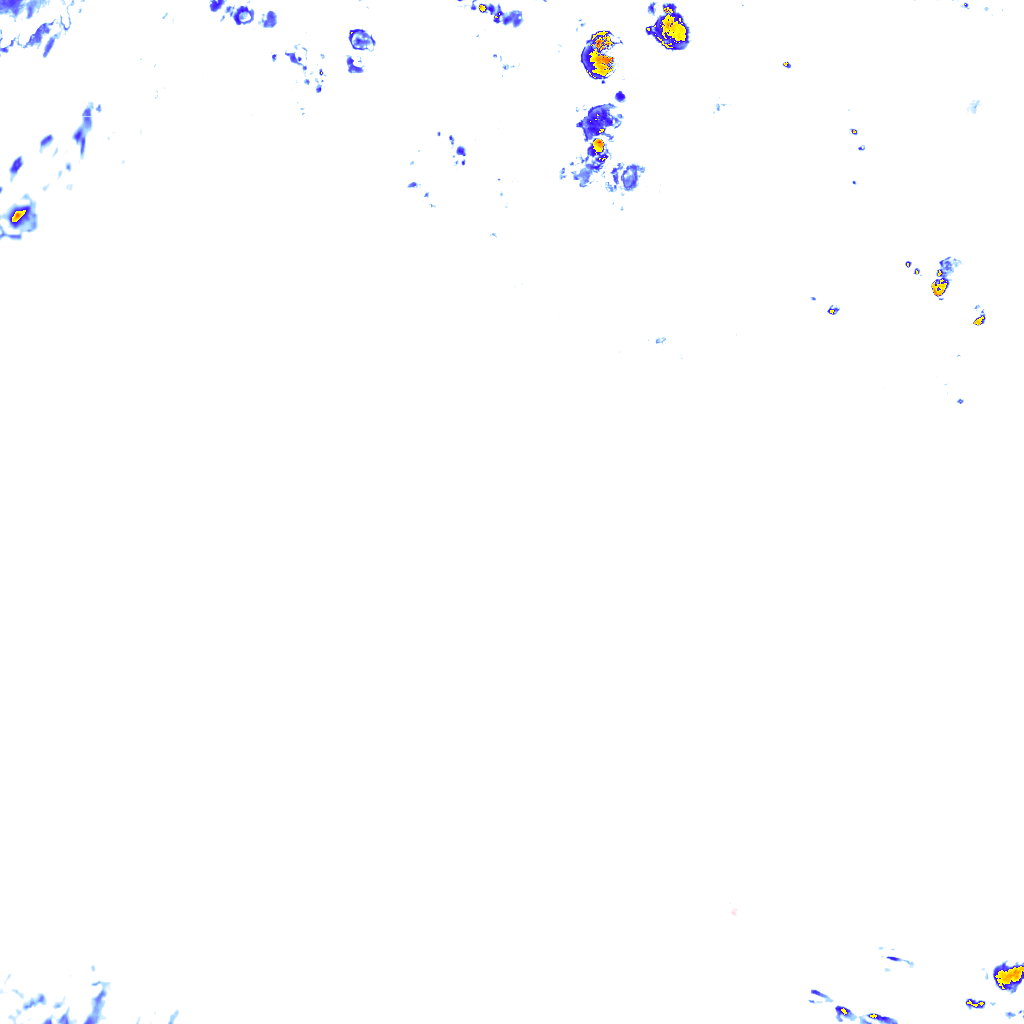 rainLayer