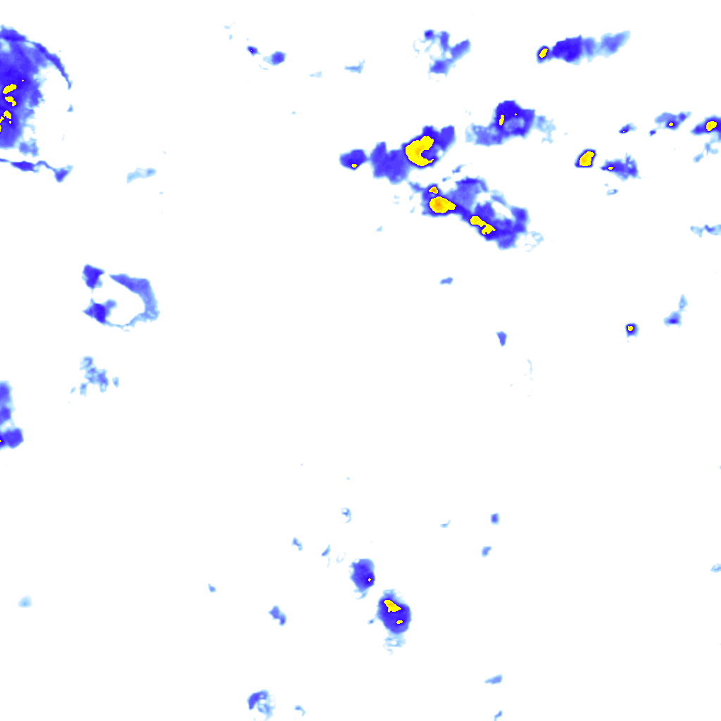 rainLayer