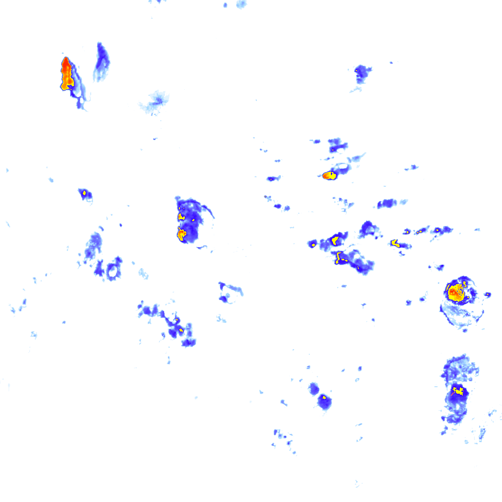 rainLayer