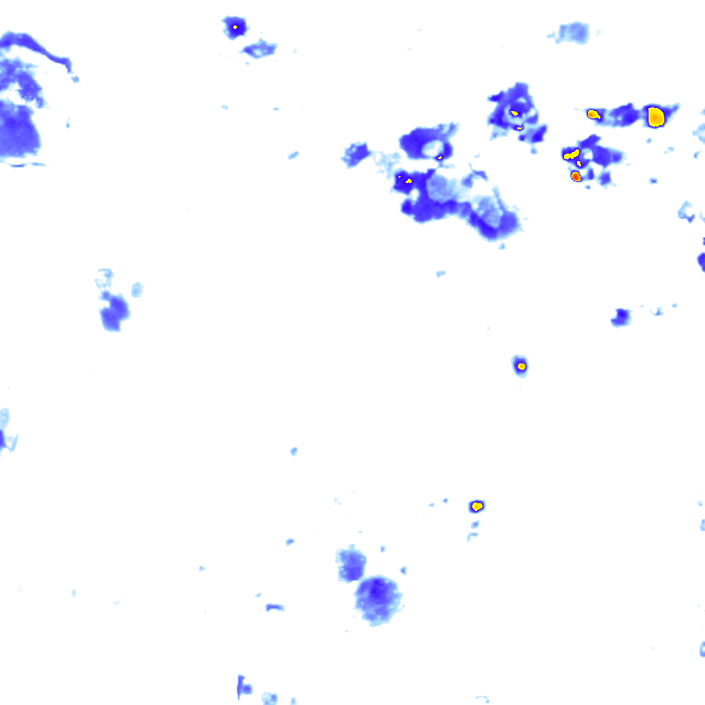Image Layer