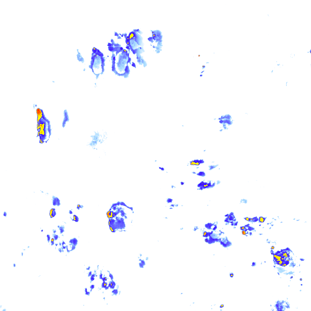 Image Layer