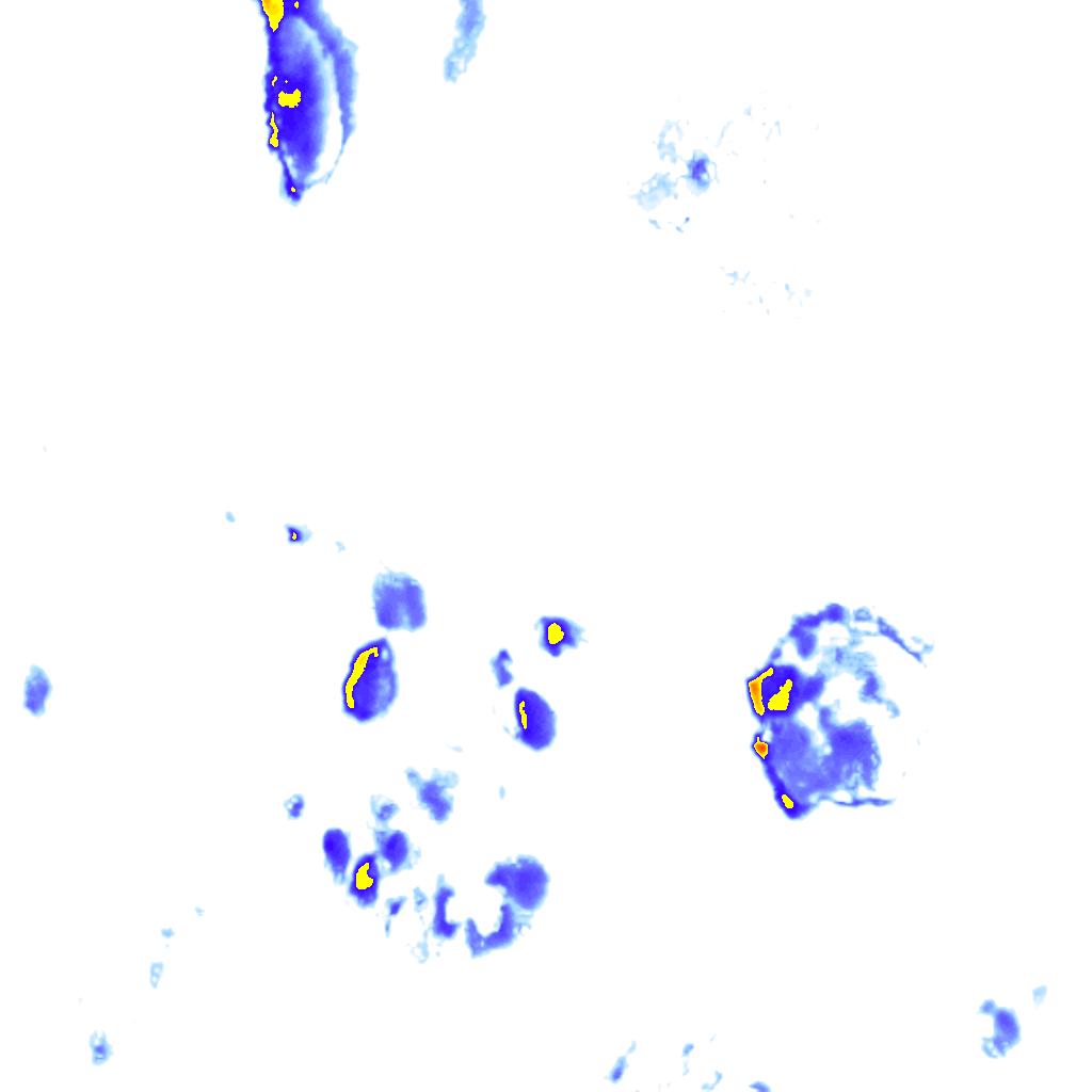 Image Layer