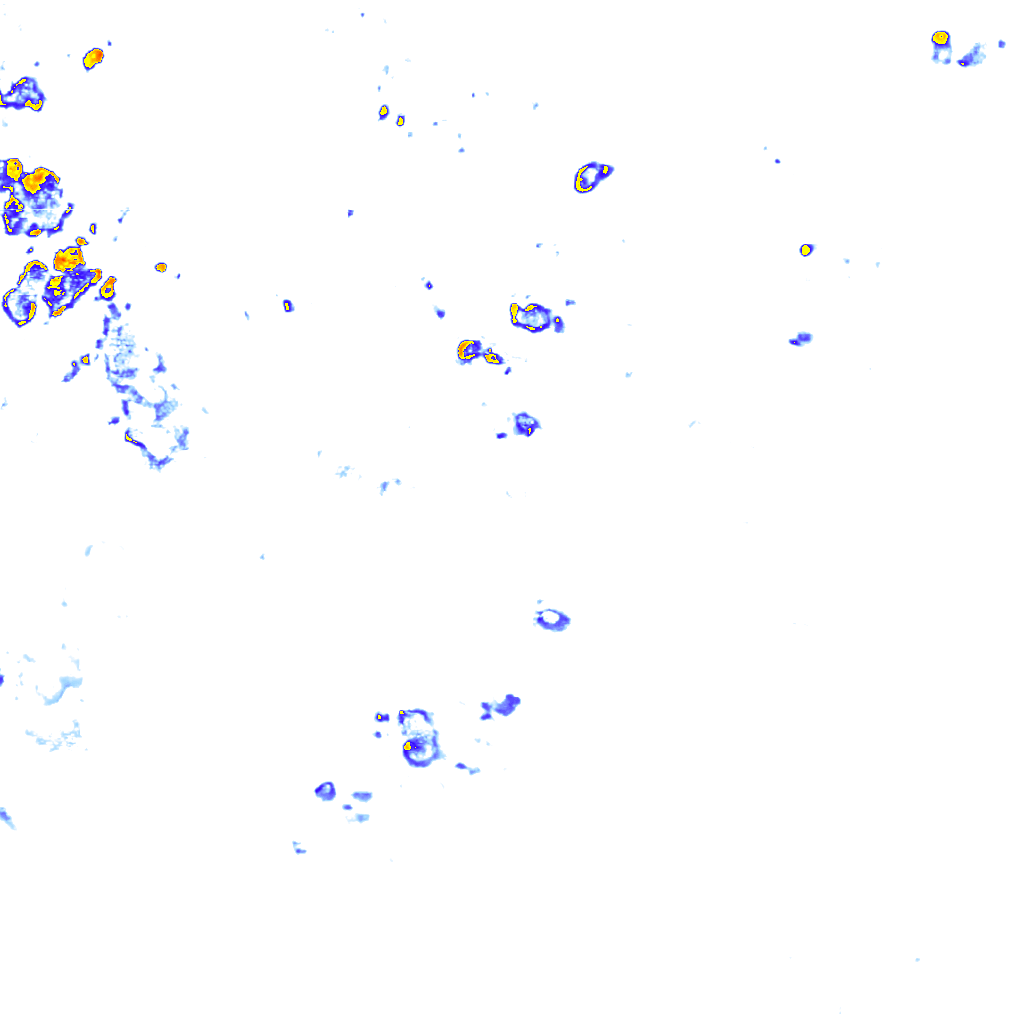 rainLayer
