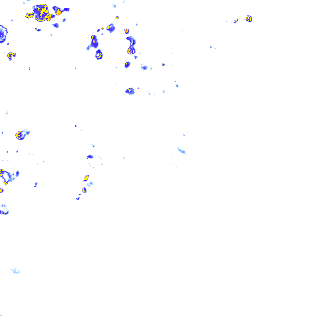 rainLayer