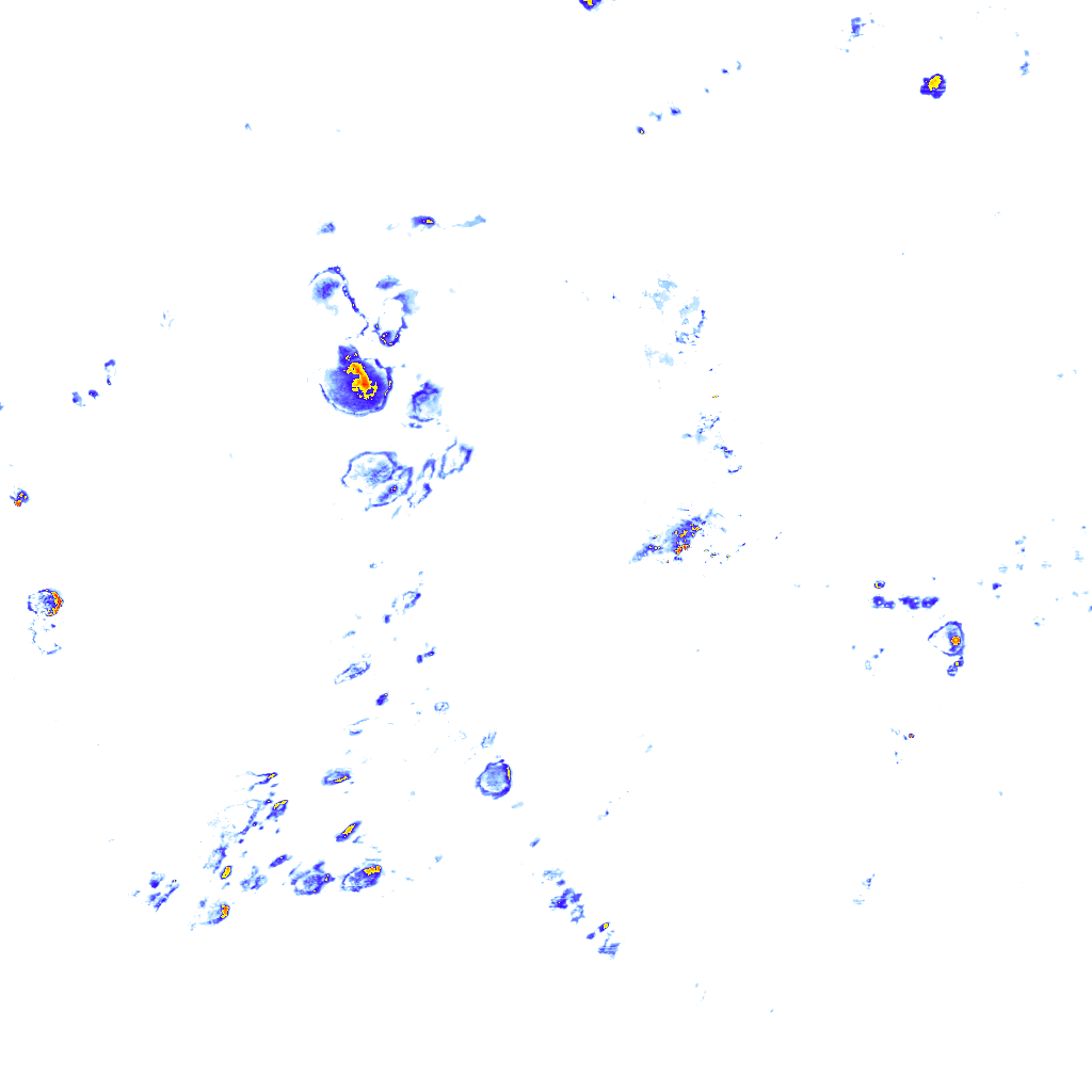 rainLayer