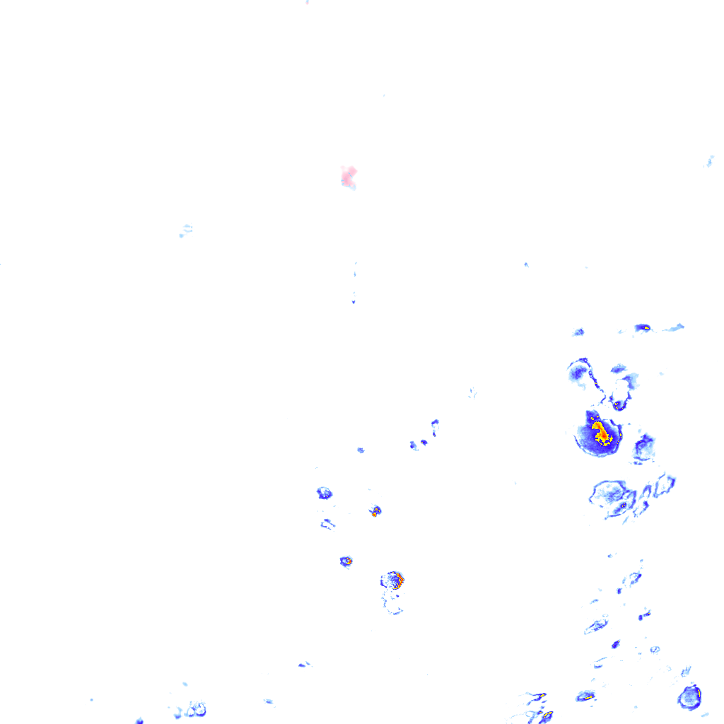 Image Layer