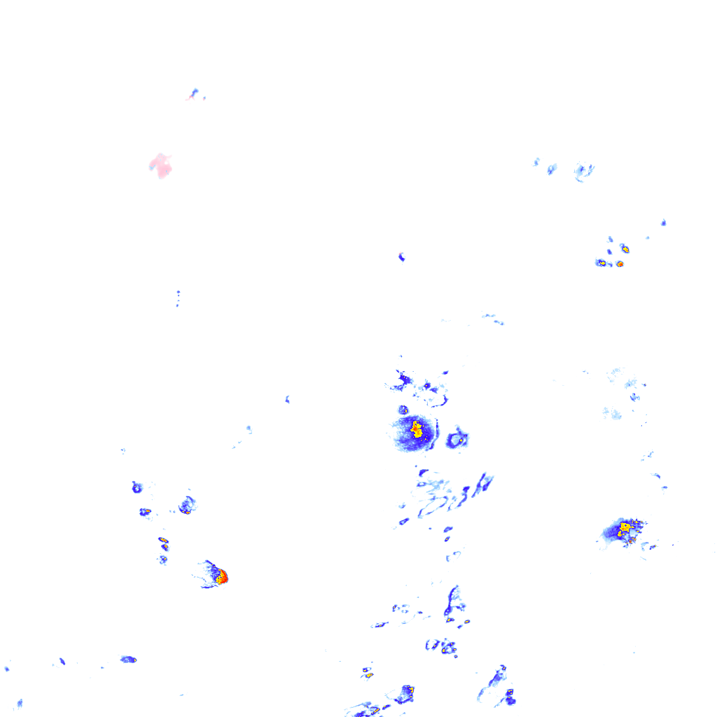 rainLayer