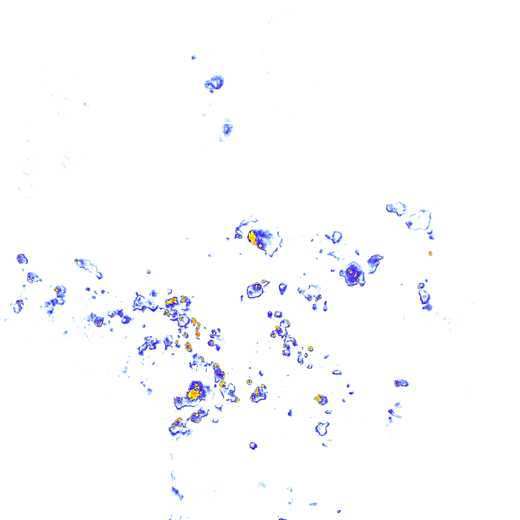 rainLayer